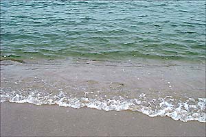 弓ヶ浜の渚は、日本の渚100選に選ばれる、透明に美しく透きとおった海は感動を覚える。いつまでも大切に伝えたい。